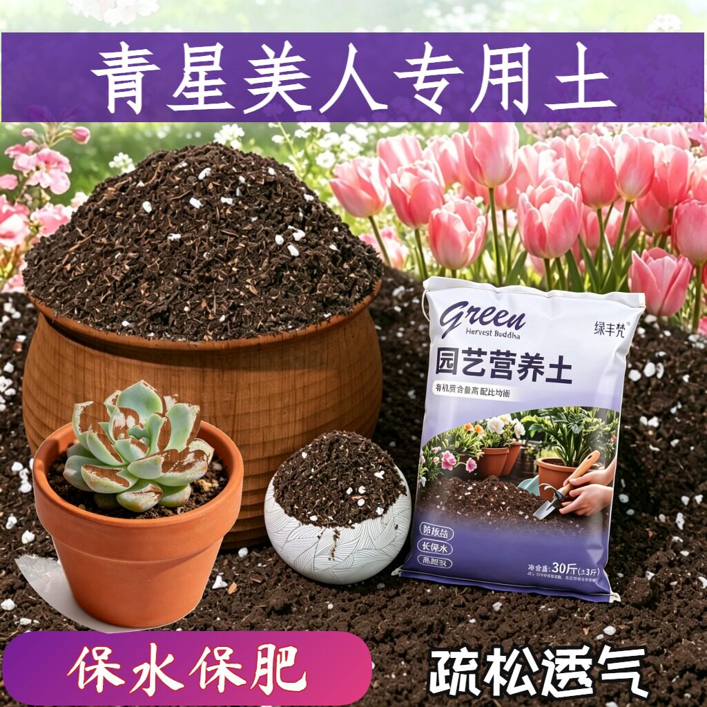 青星美人专用轻质土高温腐熟室内加深生根粉优质防黄叶球根加牛粪