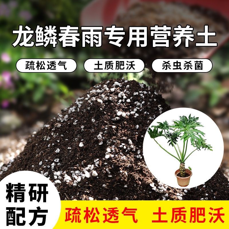 龙鳞春雨通用栽培土高温腐熟家庭园艺室内大包养花土椰砖土菜园