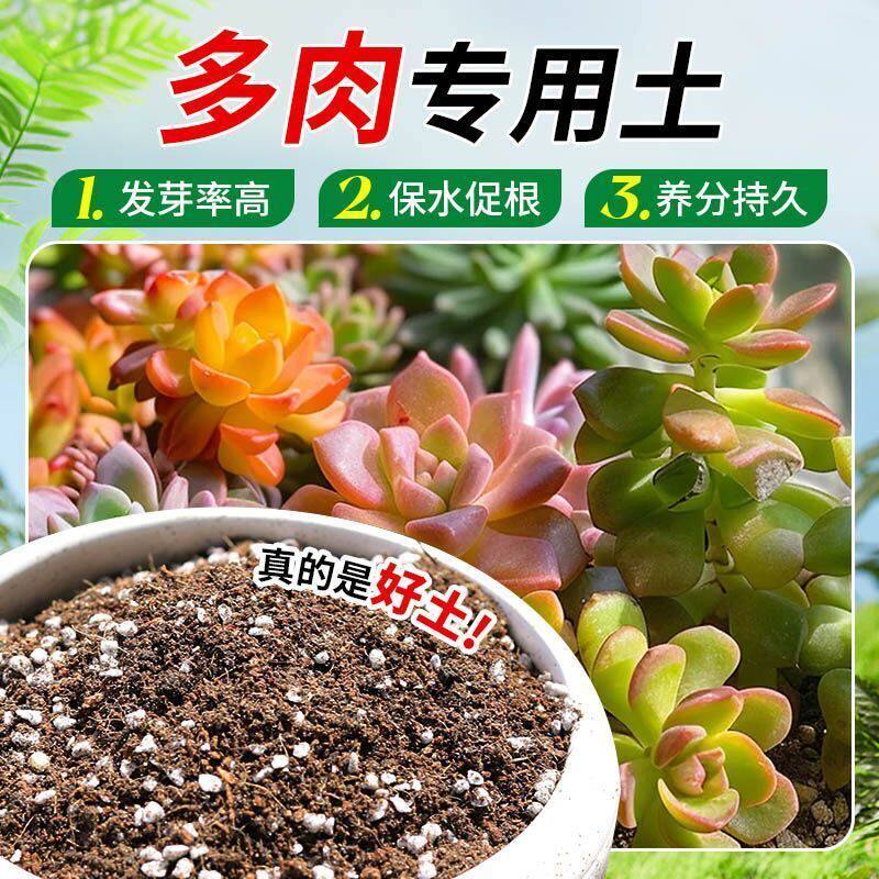 多肉营养土盆栽土种植土多肉幼苗土壤阳台种花土养花土专用花卉土