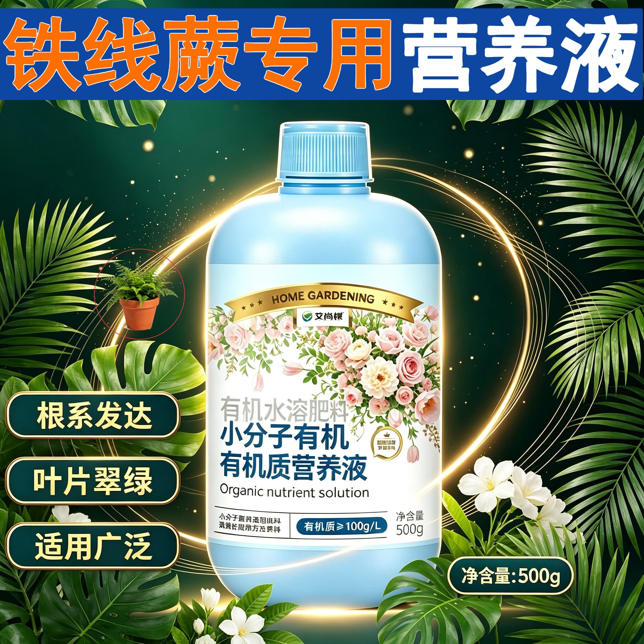 铁线蕨专用小分子营养液叶绿花艳盆栽园艺壮根促长浓缩高效家用