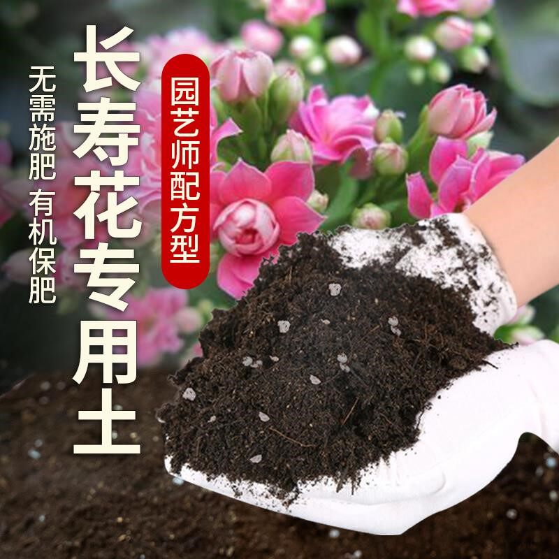 长寿花专用土养花长寿花专用肥料育苗花土家庭花草盆栽种植土壤