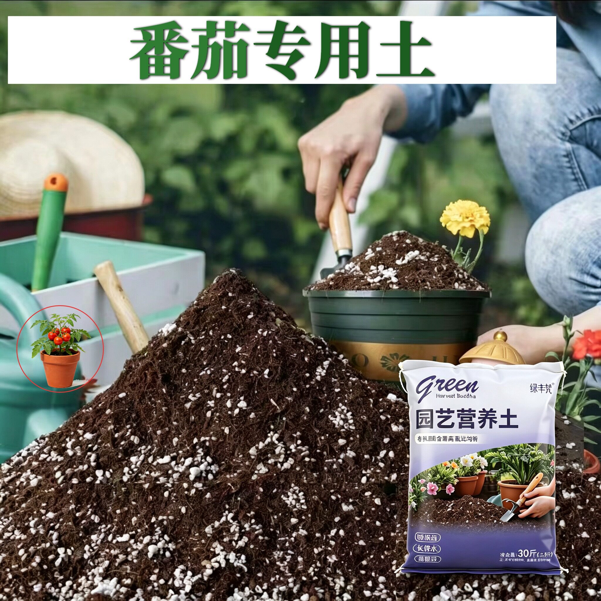 番茄适用泥炭土根壮苗好高温腐熟育苗加深生根粉有机防徒长喜酸