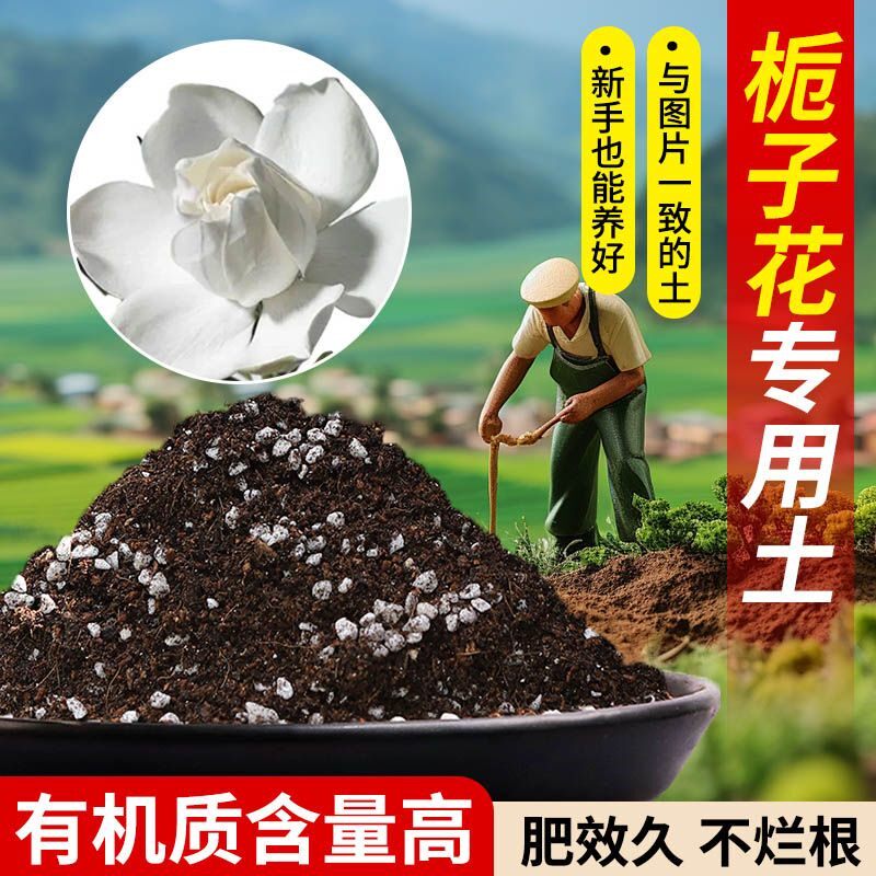 栀子花营养专用土土适用土疏松透气含泥炭肥料通用有机种植土轻质