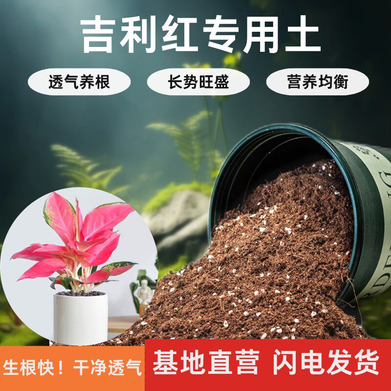 吉利红适用土疏松透气通用土壤室内盆栽绿植专用肥料