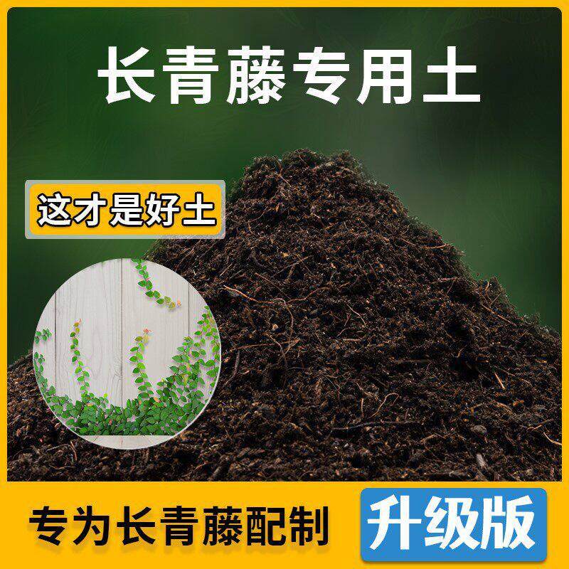 长青藤专用土家用种植土壤透气长青藤营养土盆栽种花养花有机土