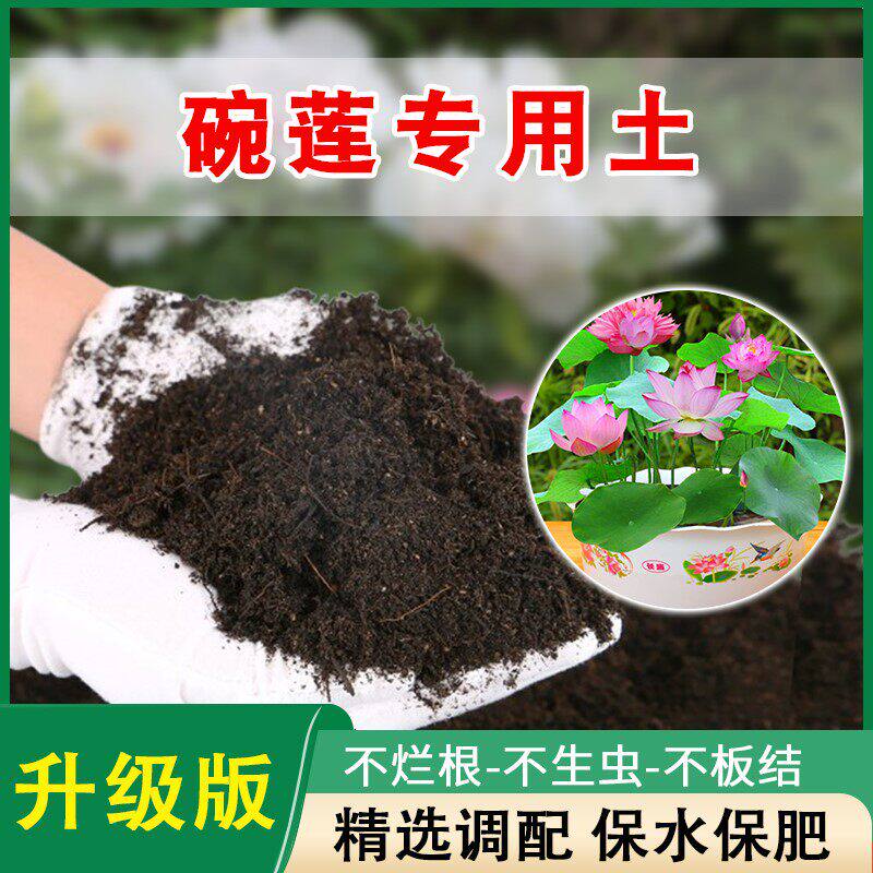 碗莲专用泥土睡莲营养土荷塘荷花专用泥莲花水养泥块淤泥土塘泥土