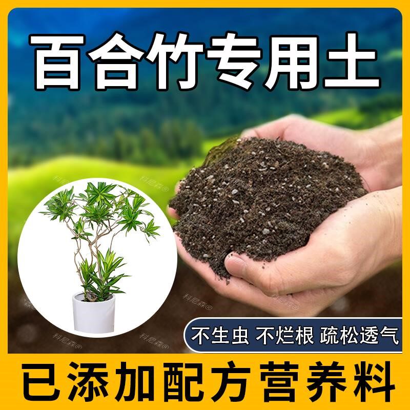 百合竹专用土肥料透气家庭阳台椰砖泥土天然百合竹营养土室内花盆图片