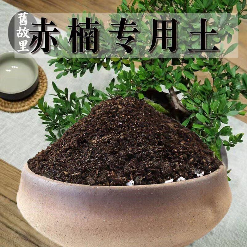 赤楠专用土小叶赤楠土盆栽有机肥料种花泥土营养土种植土壤养花土