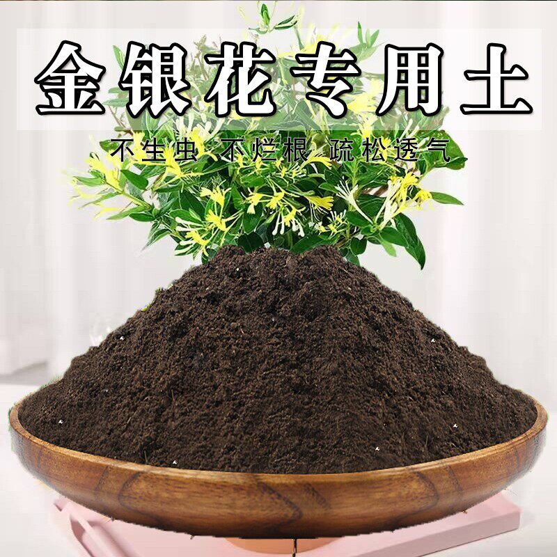 金银花专用土金银花专用营养土盆栽土养花种花土种植土壤肥料包邮