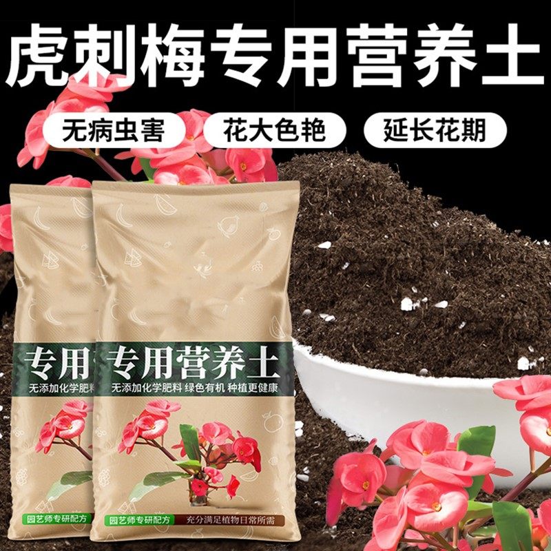 虎刺梅专用土营养土种植土壤虎刺梅肥料铁海棠麒麟刺通用有机花泥
