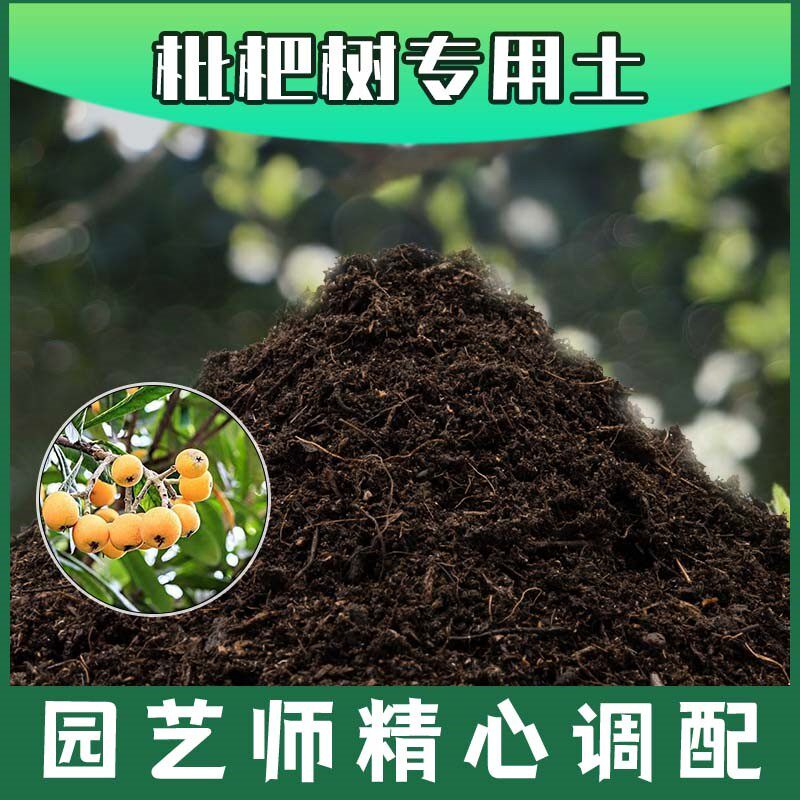枇杷树专用土腐殖土种花养花盆栽土枇杷树营养土肥料种植有机土壤