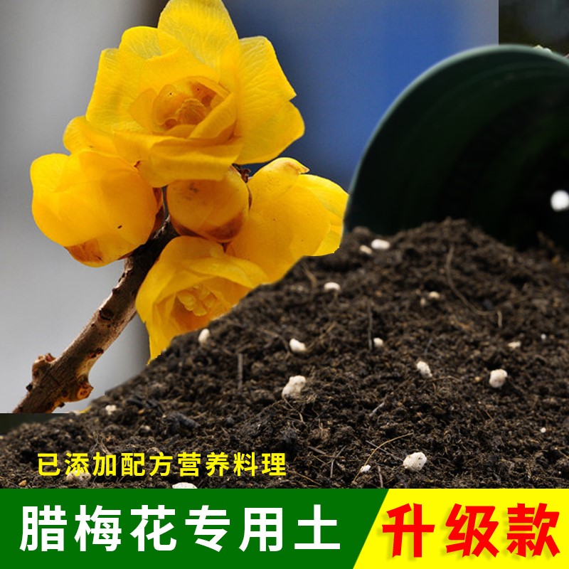 腊梅花专用土壤优质有机营养土通用绿植盆栽专用花泥绿植种植土