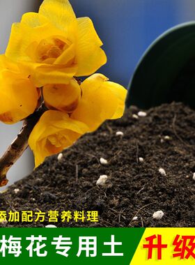 腊梅花专用土壤优质有机营养土通用绿植盆栽专用花泥绿植种植土