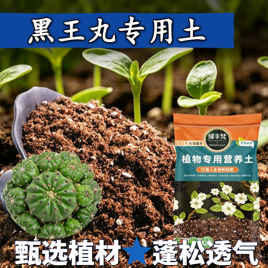 黑王丸适用腐殖土防烂根嫁接种植土有机防徒长家用装球根基质多肉