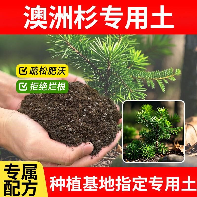 澳洲杉专用土有机室内养花专用土发酵绿植物花园有机肥土壤花盆