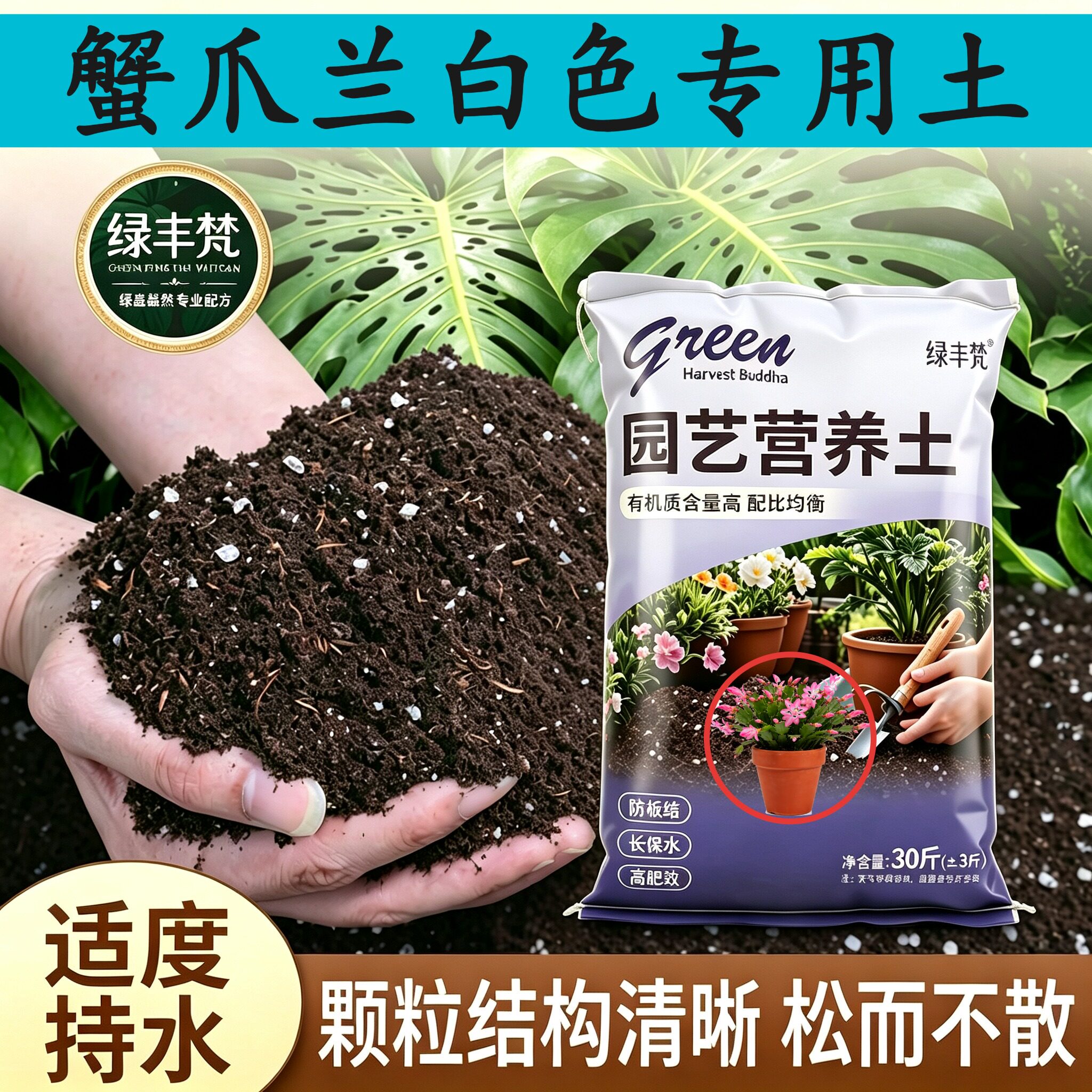 蟹爪兰白色专用养花土根壮苗好腐殖泥炭土扦插加牛粪有机增色多肉