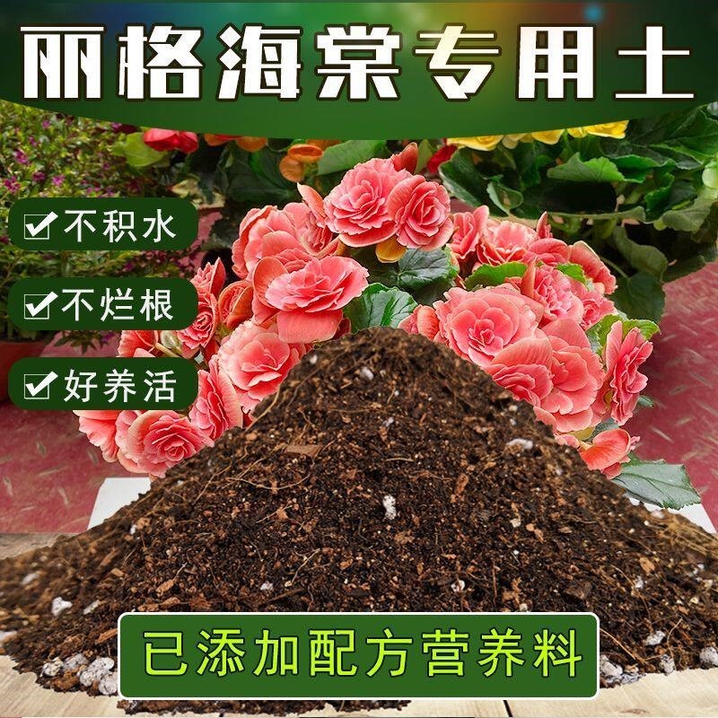 丽格海棠专用土盆栽营养土壤通用家用绿植种植土种花泥土有机肥料