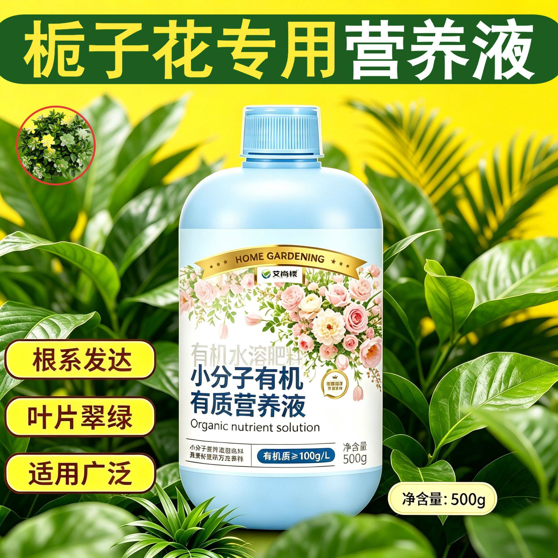 栀子花适用观花型营养液兑水即用壮根促长盆栽专用快速吸收园艺