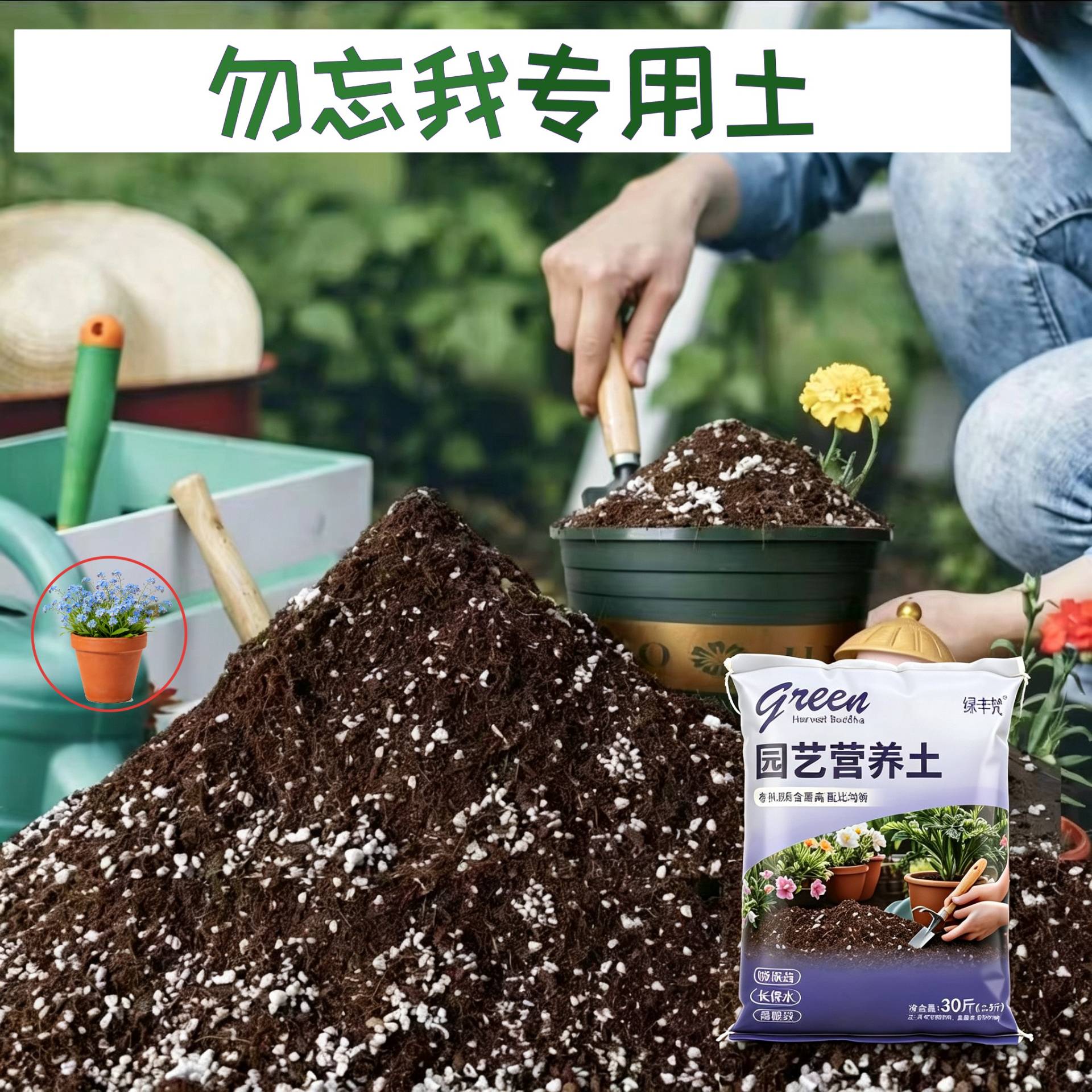 勿忘我适用种菜土防烂根盆栽泥炭基质优质增色观叶不闷根养花土