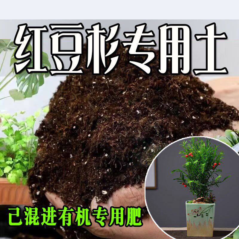 红豆杉专用土 疏松透气盆栽绿植专用室内植物营养土有机肥料种植