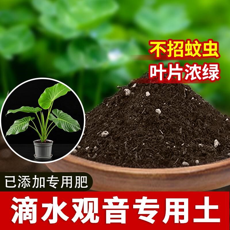 滴水观音专用土盆栽椰砖有机养花滴水观音专用营养土盆栽土壤室内
