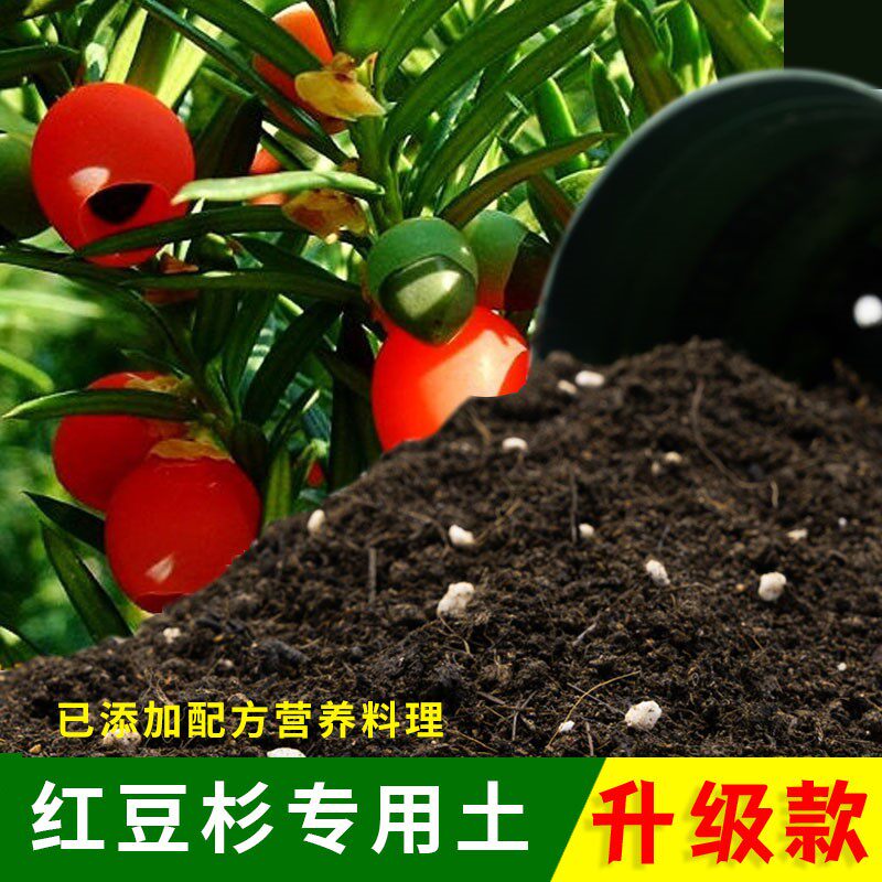 红豆杉土盆栽专用土通用红豆杉营养土弱酸泥碳土花泥绿植土壤肥料