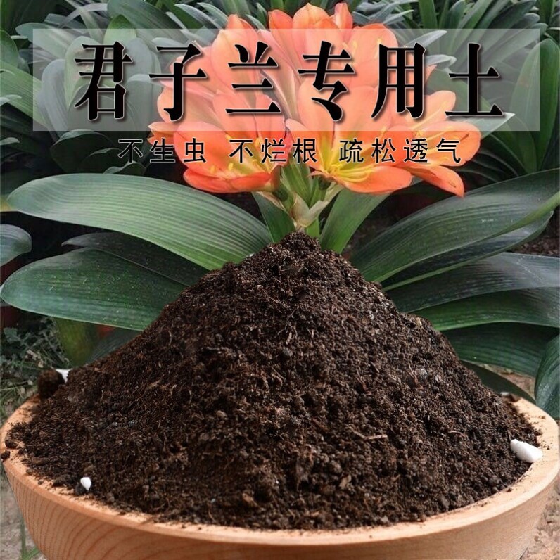 君子兰专用土种菜土蓬松盆栽土壤君子兰专用营养土疏松种花有机土