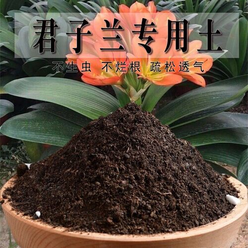 君子兰专用土种菜土蓬松盆栽土壤君子兰专用营养土疏松种花有机土