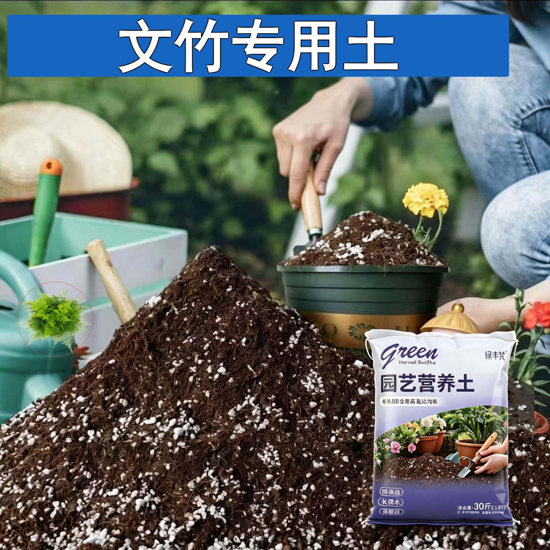文竹适用种植土不板结室内加深生根粉进口防黄叶多肉花园有机土
