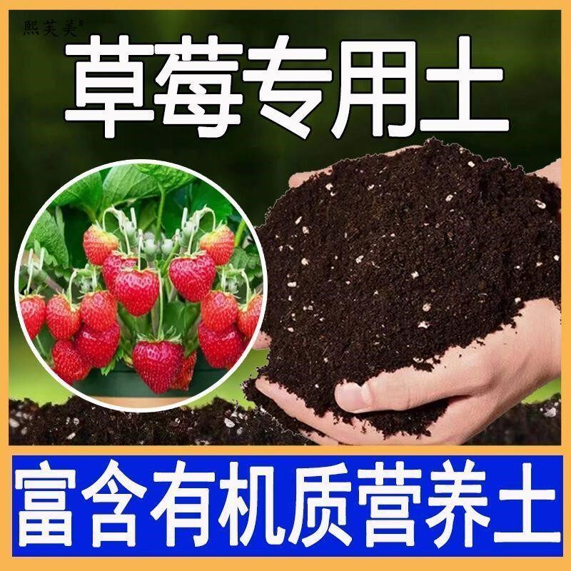 种草莓专用土营养土阳台草莓肥料专用肥盆栽草莓苗土壤泥土种植土