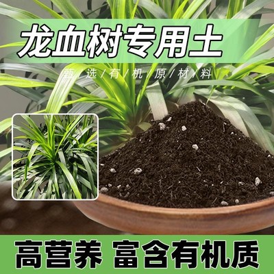 龙血树专用土天然蓬松龙血树专用营养土花肥花园透气花卉绿植有机