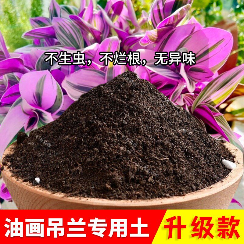 油画吊兰专用土油画吊兰专用营养土室内透气阳台栽培土家用盆栽土