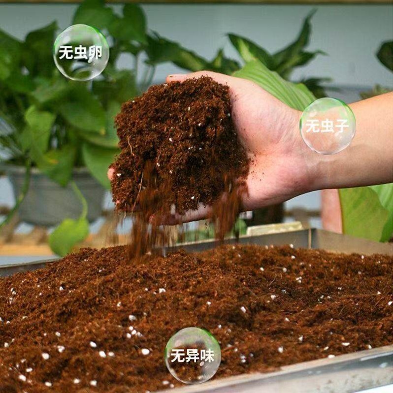 发财树专用营养种菜阳台养花肥料专用肥盆栽有机绿植泥土种植土壤