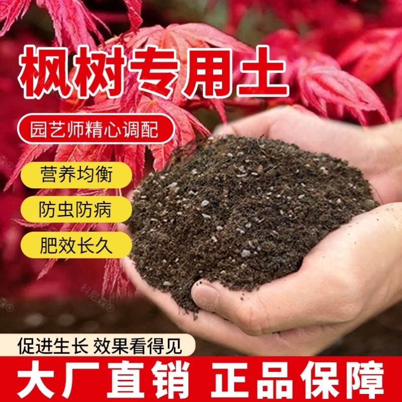 枫树专用土肥料室内种花泥土绿植有机土枫树营养土花盆家庭花草