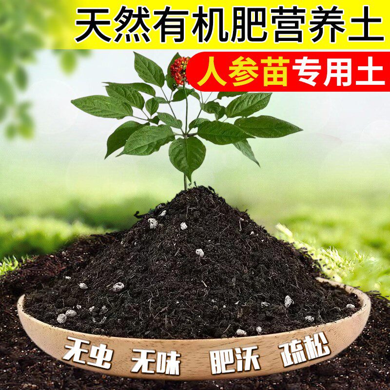 人参苗专用土人参苗土种植土壤营养土盆栽种花泥土透气通用养花土