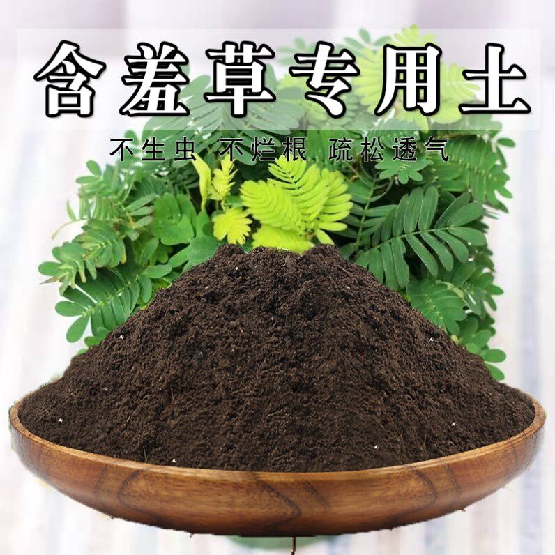 含羞草专用土盆栽花卉种植营养土通用型培植土弱酸性有机土壤肥料