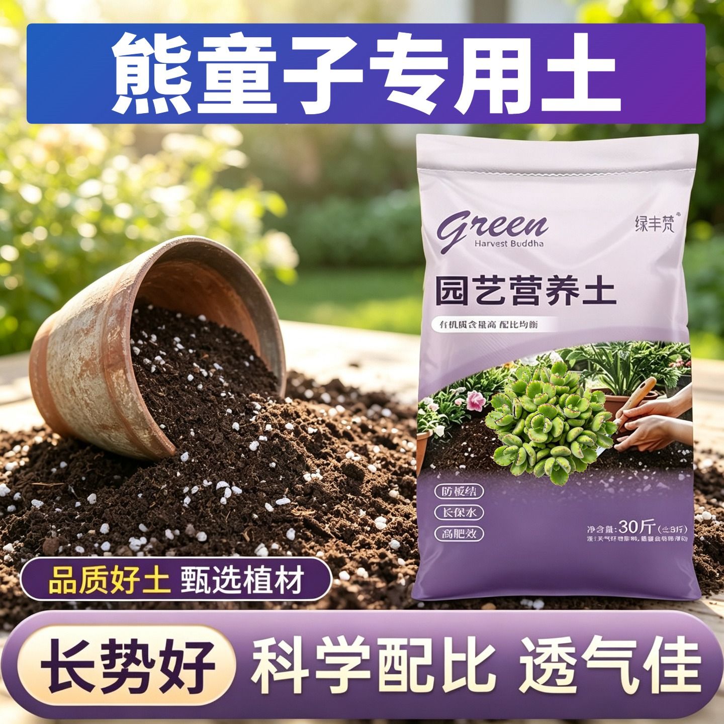 熊童子适用种菜土疏松透气园艺大包无菌绿叶木本菜园防徒长盆景土