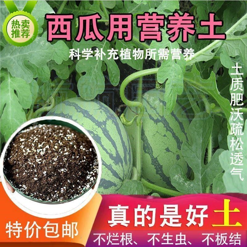 西瓜专用土西瓜育苗专用土瓜果树通用营养土有机基质盆栽土
