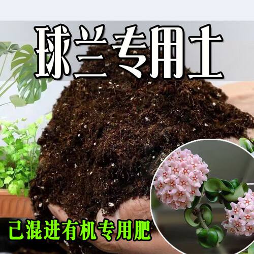 球兰专用土 球兰专用营养土 盆栽养花种花土通用种植土壤有机肥料