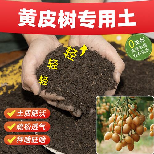 黄皮树专用营养土防烂根壮根苗疏松土壤基质土种植土壤高端土蔬果