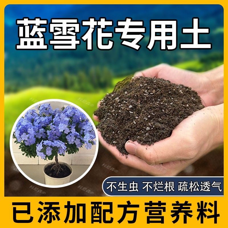 蓝雪花专用土肥料蓝雪花营养土园艺阳台植物泥土花卉绿植家庭种花