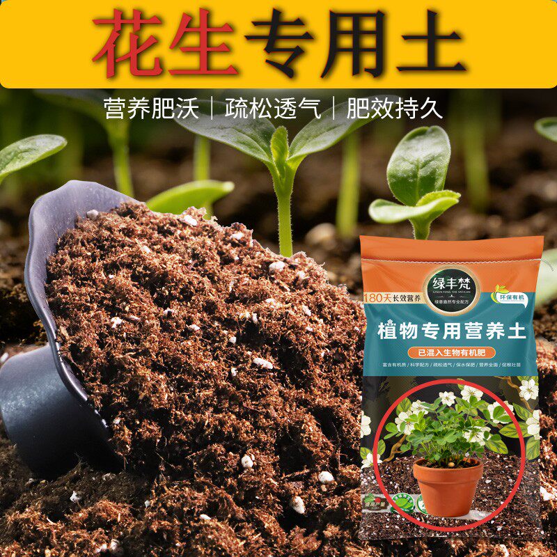 花生适用种植土利于发根地栽盆栽土性质稳定防黄叶大包装喜酸屋顶