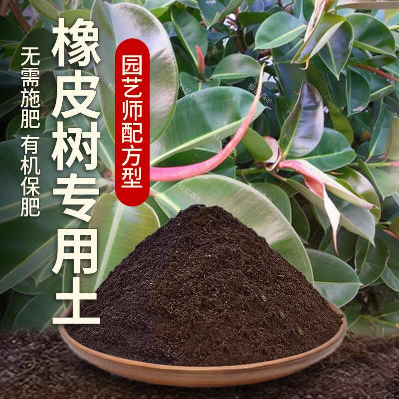 橡皮树专用土肥料蓬松种植土花草育苗花土泥土室内橡皮树营养土