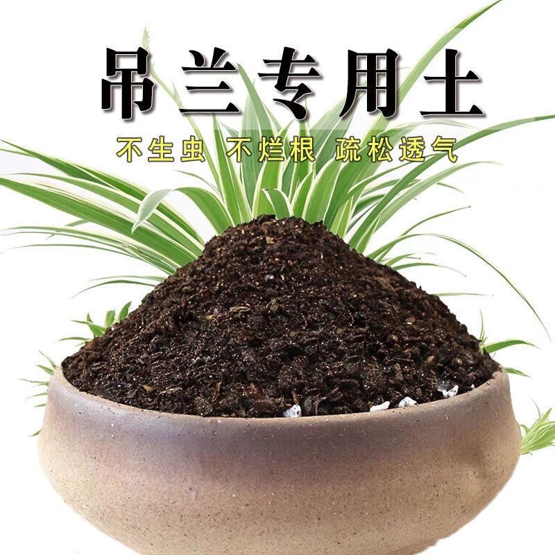 吊兰专用土吊兰种花泥土营养土壤透气养花种植土通用室内土有机肥