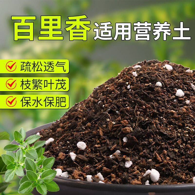 【百里香专用土】疏松透气盆栽绿植专用室内植物有机营养土肥料