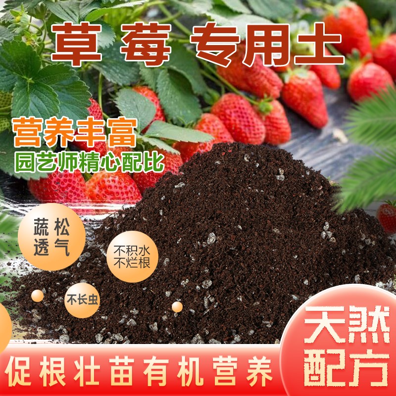 草莓专用土椰砖土不烂根育苗加深生根粉加有机肥种菜土高温灭菌