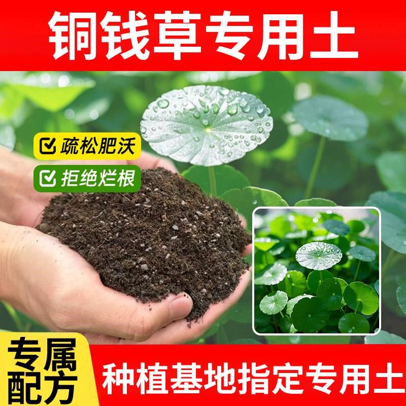 铜钱草专用土泥土种植多肉土家用绿植物盆栽专用土栽培土有机土