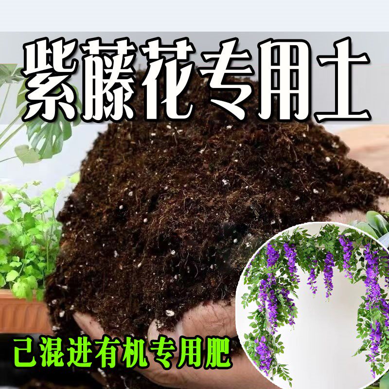 紫藤花专用土 紫藤花专用营养土 盆栽养花种花土通用种植土壤肥料