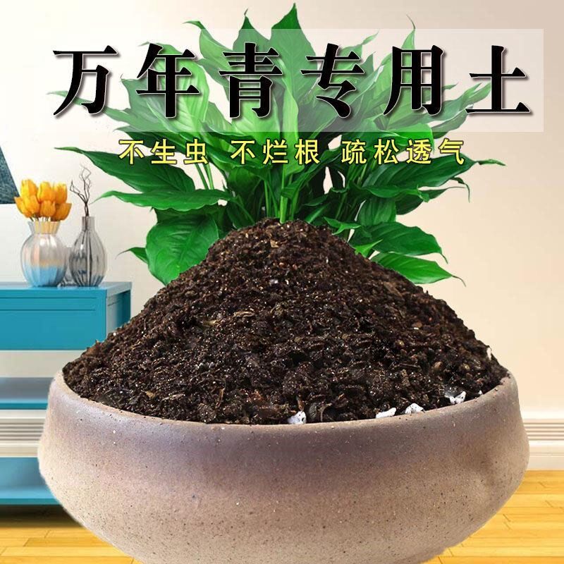 万年青土专用土泥土盆栽营养土酸性有机肥沙质土壤家用绿植种植土