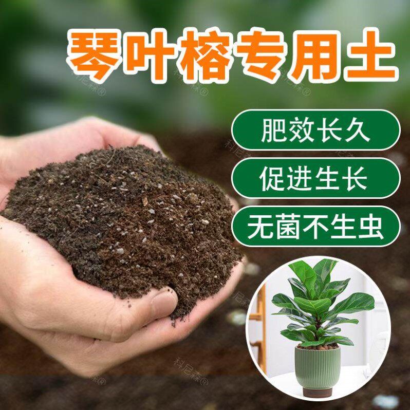 琴叶榕土壤专用肥料营养土大叶榕花土疏松透气泥土种植土有机肥料